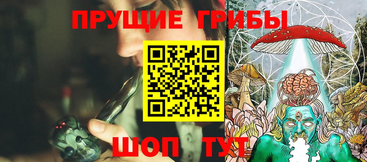 Галлюциногенные грибы Psilocybe  Вход с VPN  Галлюциногенные грибы Psilocybine cubensis  Невинномысск 